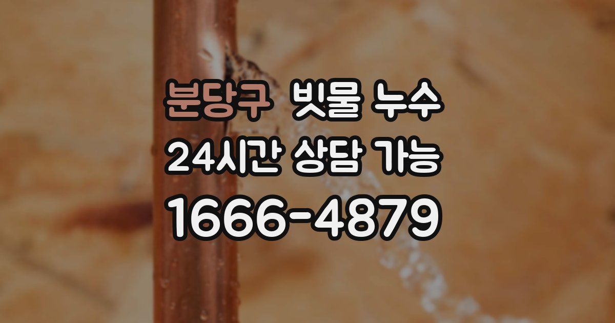 분당구 빗물 누수