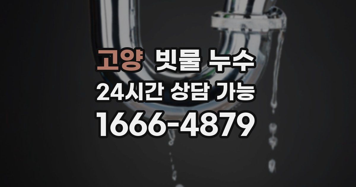 고양 빗물 누수