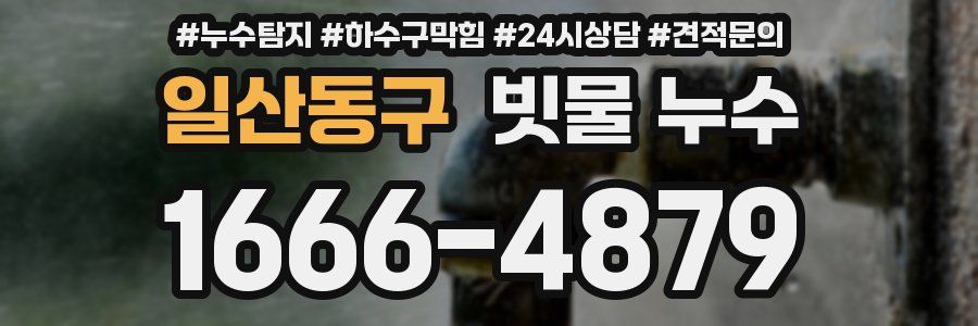 일산동구 빗물 누수