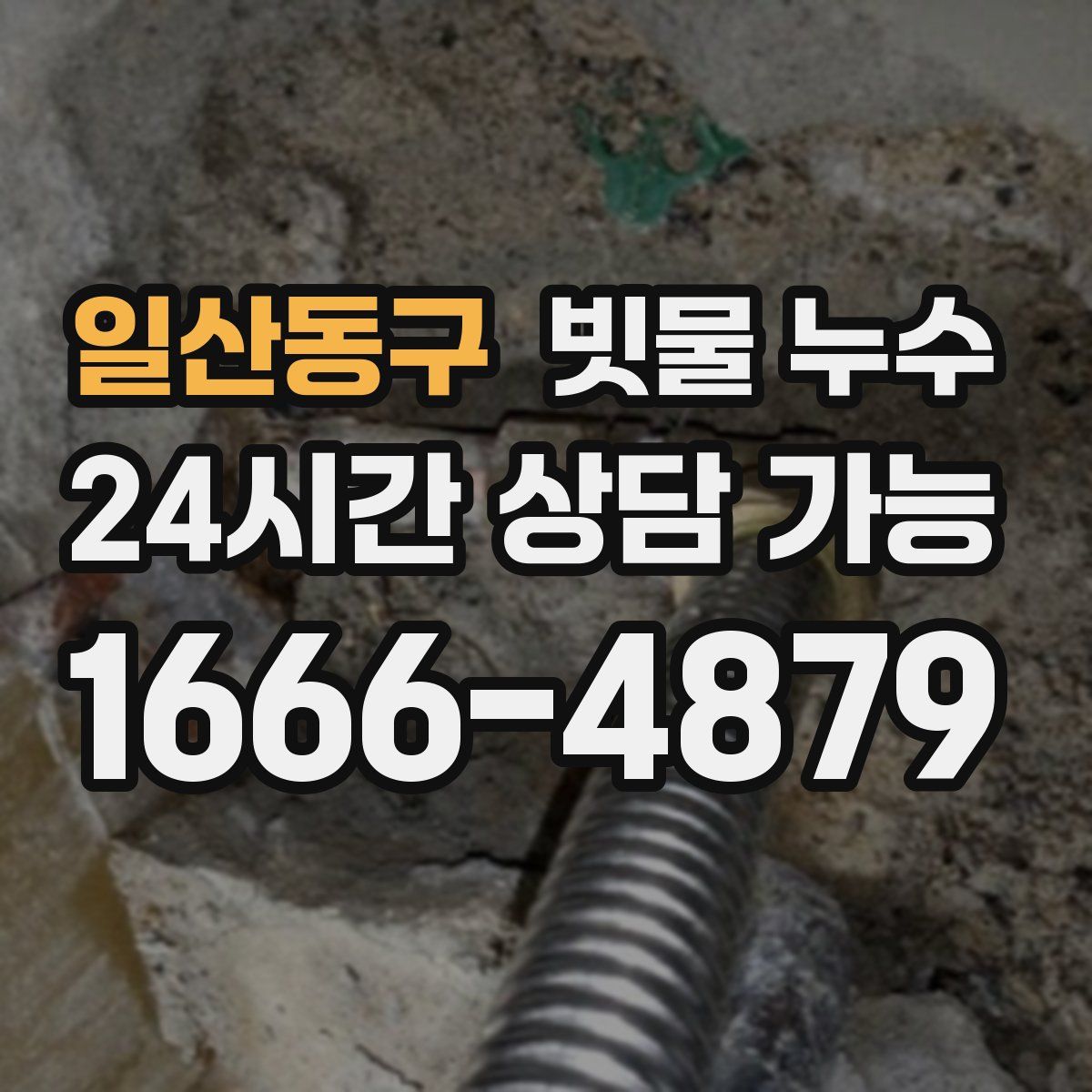 일산동구 빗물 누수