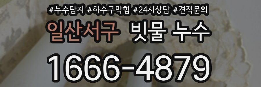 일산서구 빗물 누수