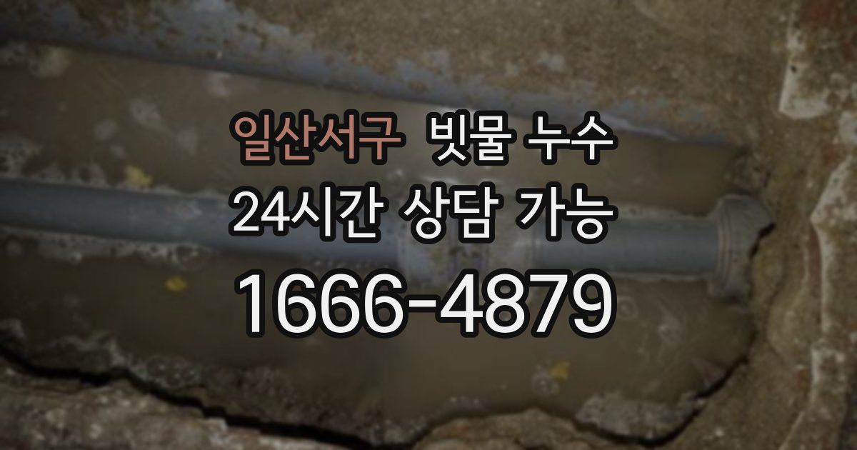 일산서구 빗물 누수