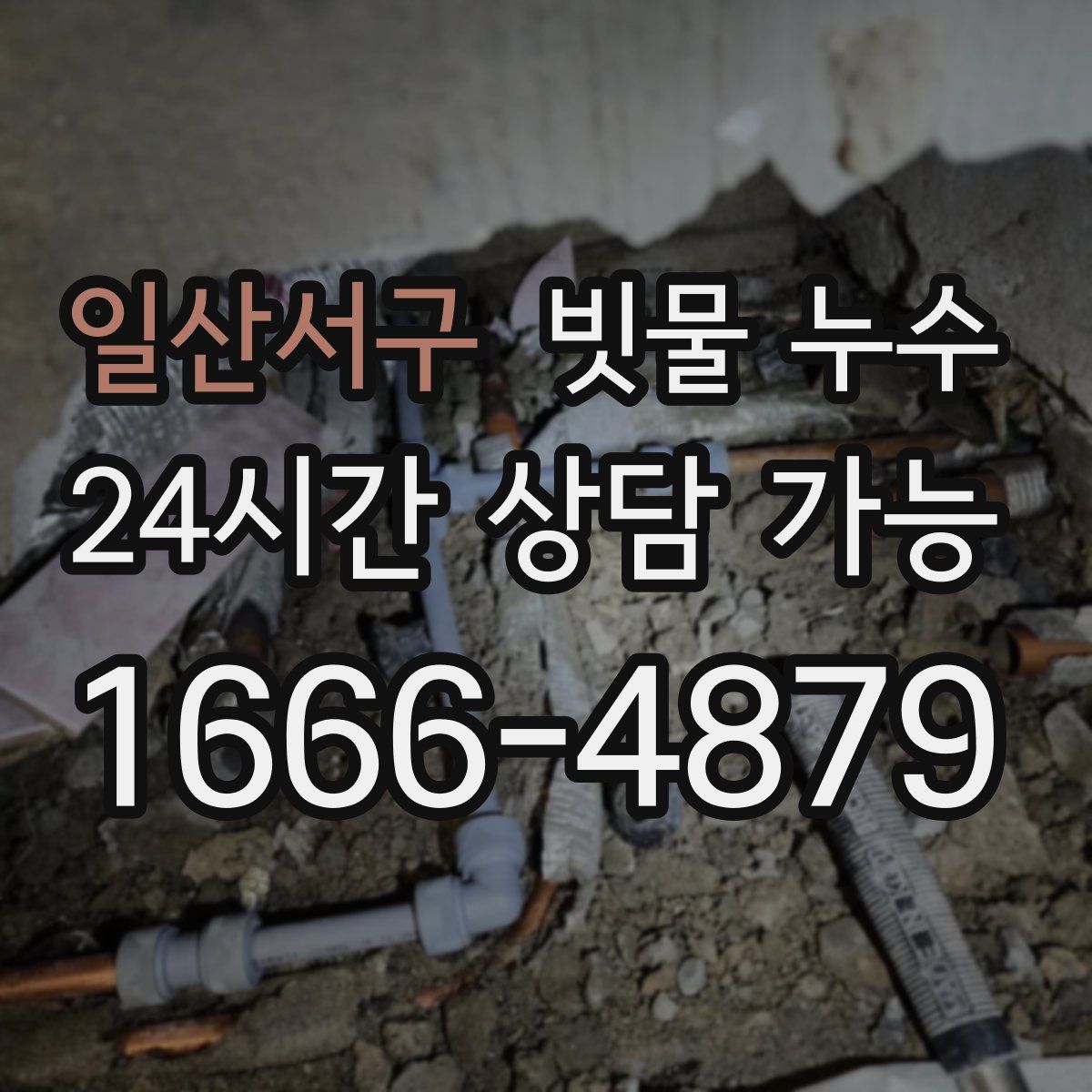 일산서구 빗물 누수