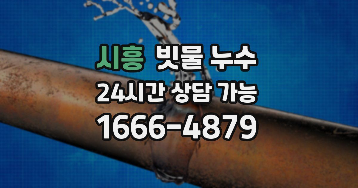 시흥 빗물 누수