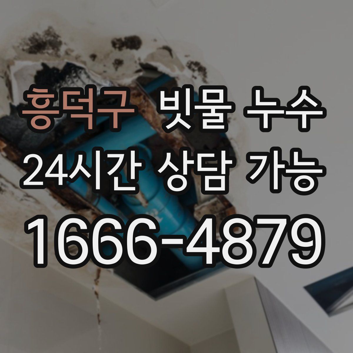 흥덕구 빗물 누수