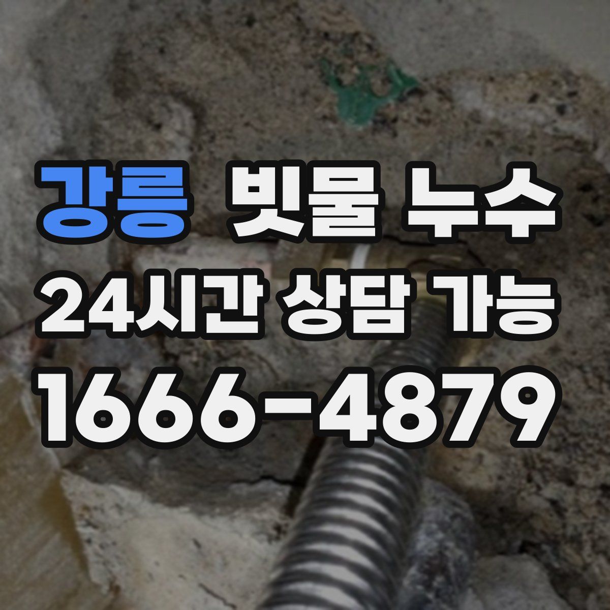 강릉 빗물 누수