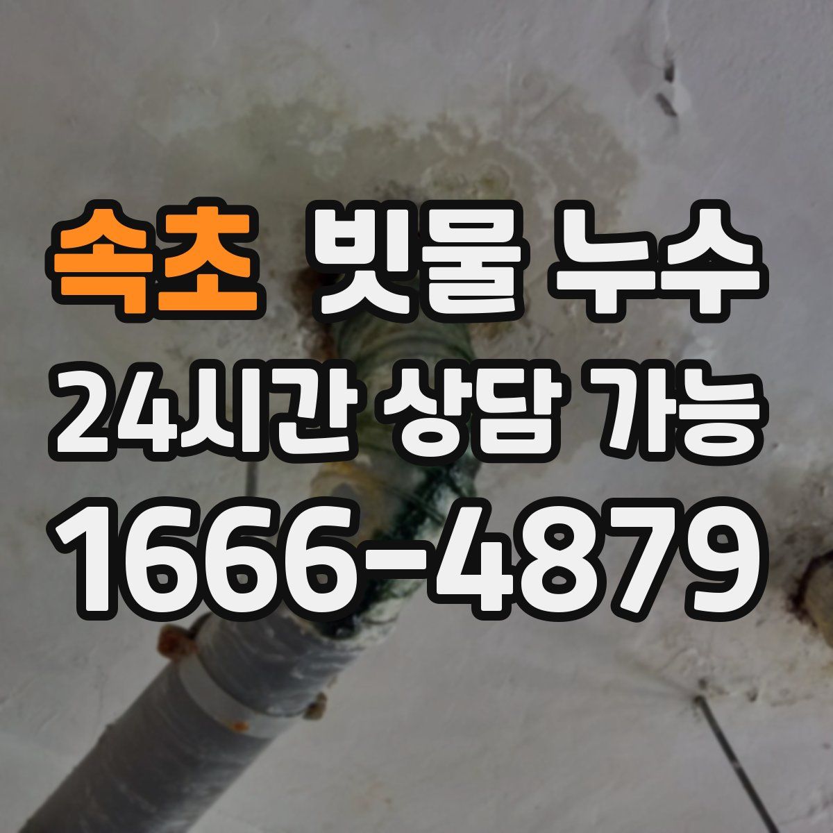 속초 빗물 누수