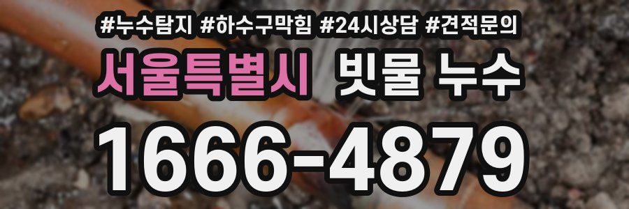 서울특별시 빗물 누수
