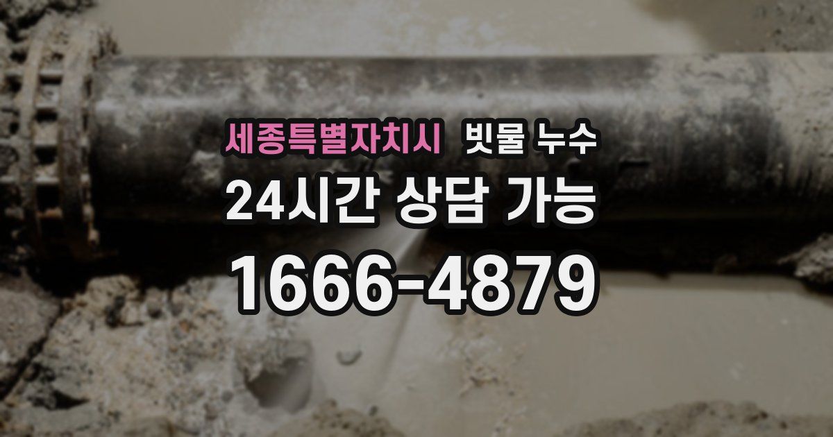 세종특별자치시 빗물 누수