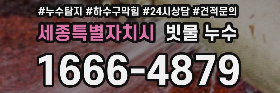세종특별자치시 빗물 누수
