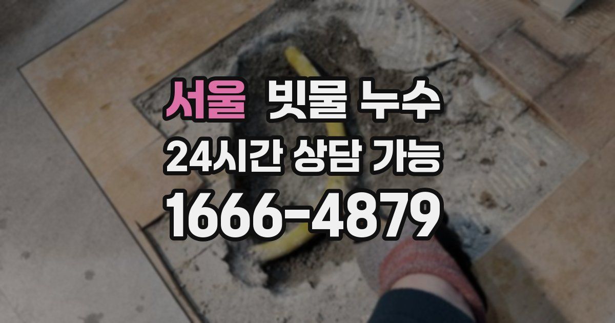 서울 빗물 누수