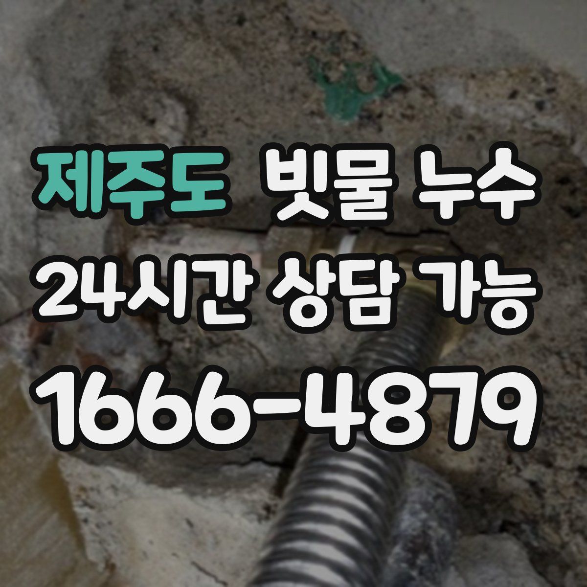 제주도 빗물 누수