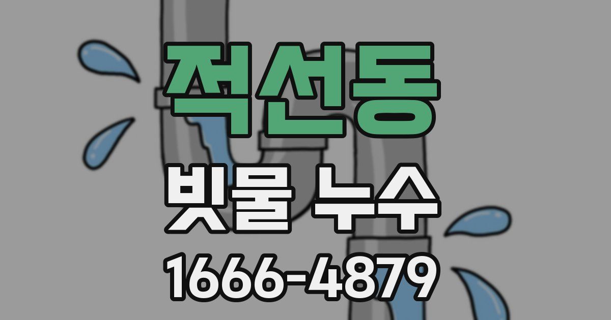 적선동 빗물 누수