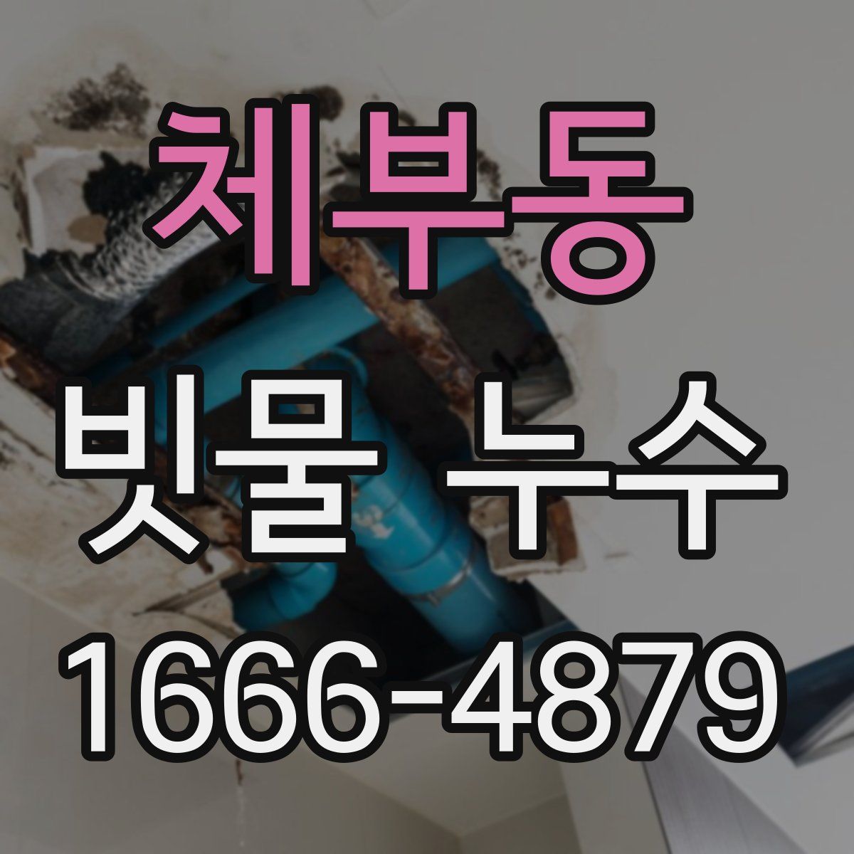 체부동 빗물 누수