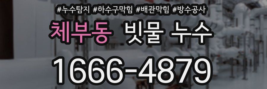 체부동 빗물 누수
