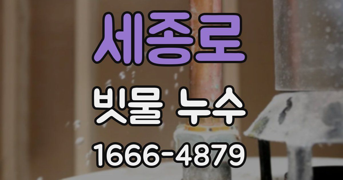 세종로 빗물 누수