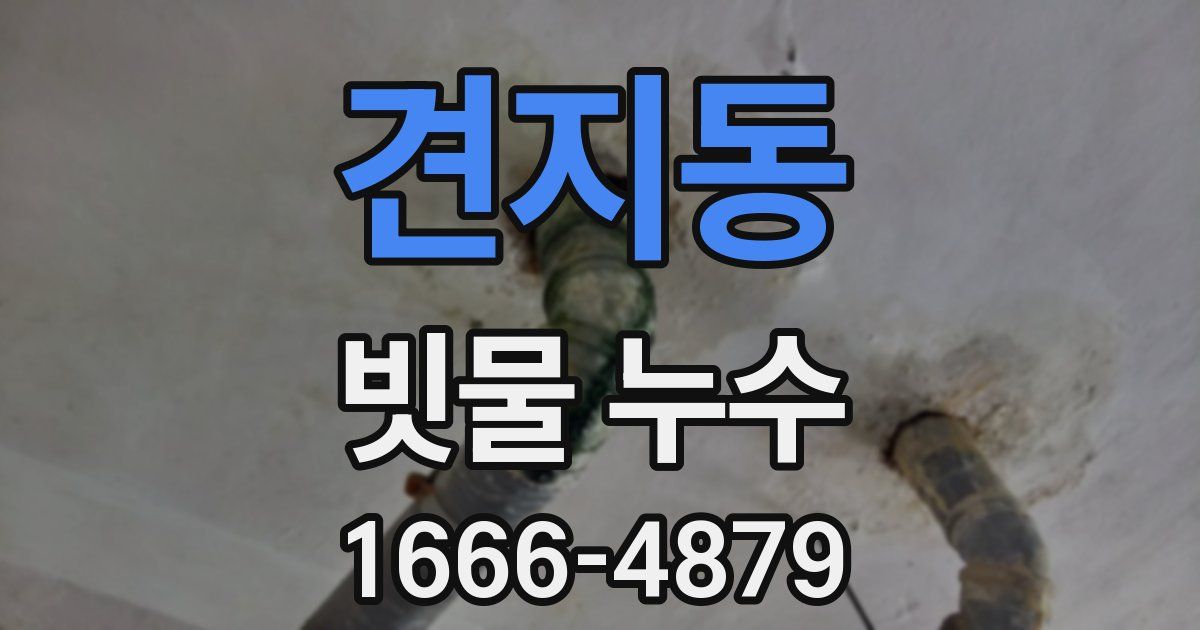 견지동 빗물 누수