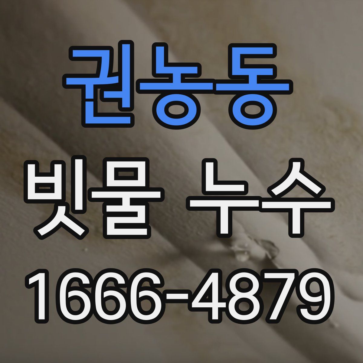 권농동 빗물 누수