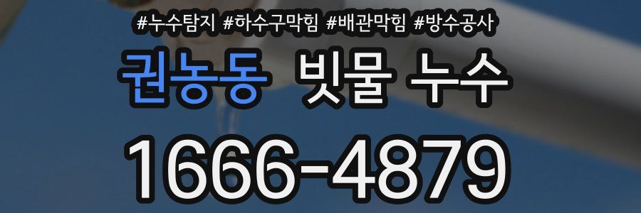 권농동 빗물 누수