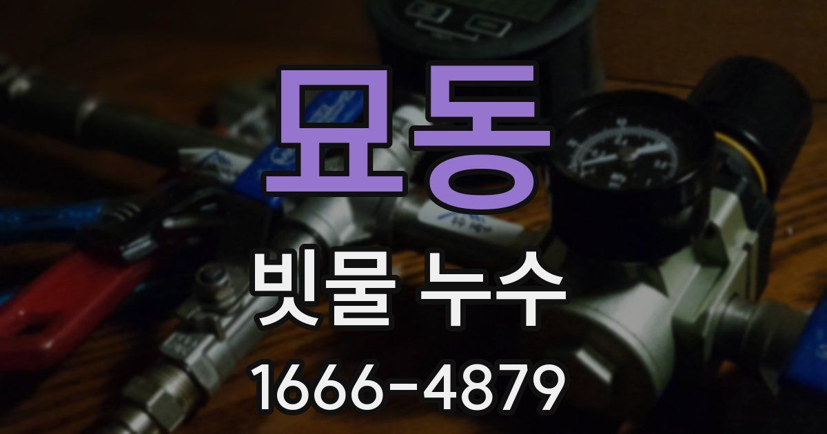 묘동 빗물 누수
