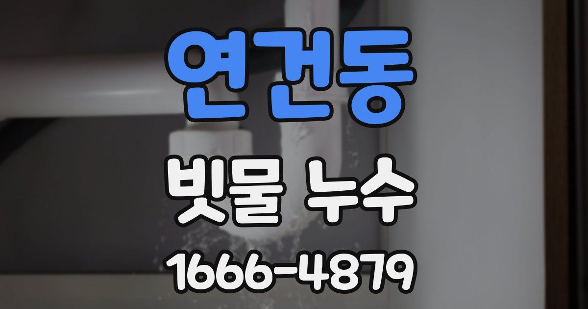 연건동 빗물 누수