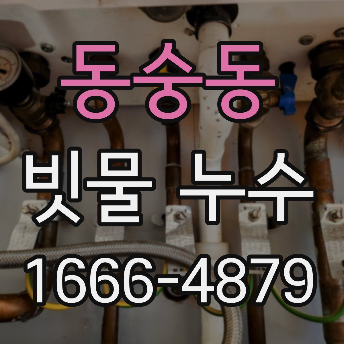 동숭동 빗물 누수