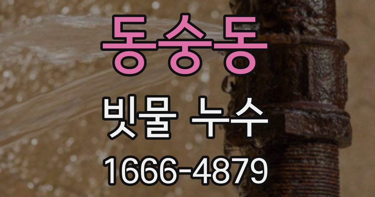 동숭동 빗물 누수
