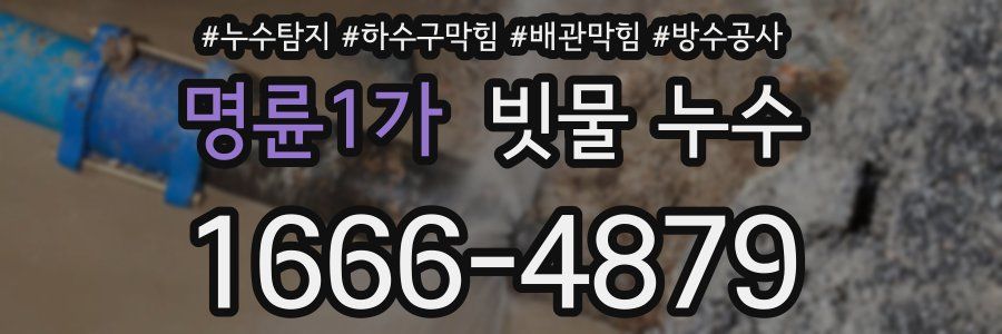 명륜1가 빗물 누수