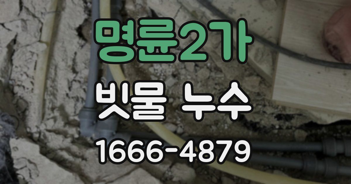 명륜2가 빗물 누수