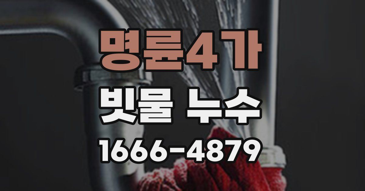 명륜4가 빗물 누수