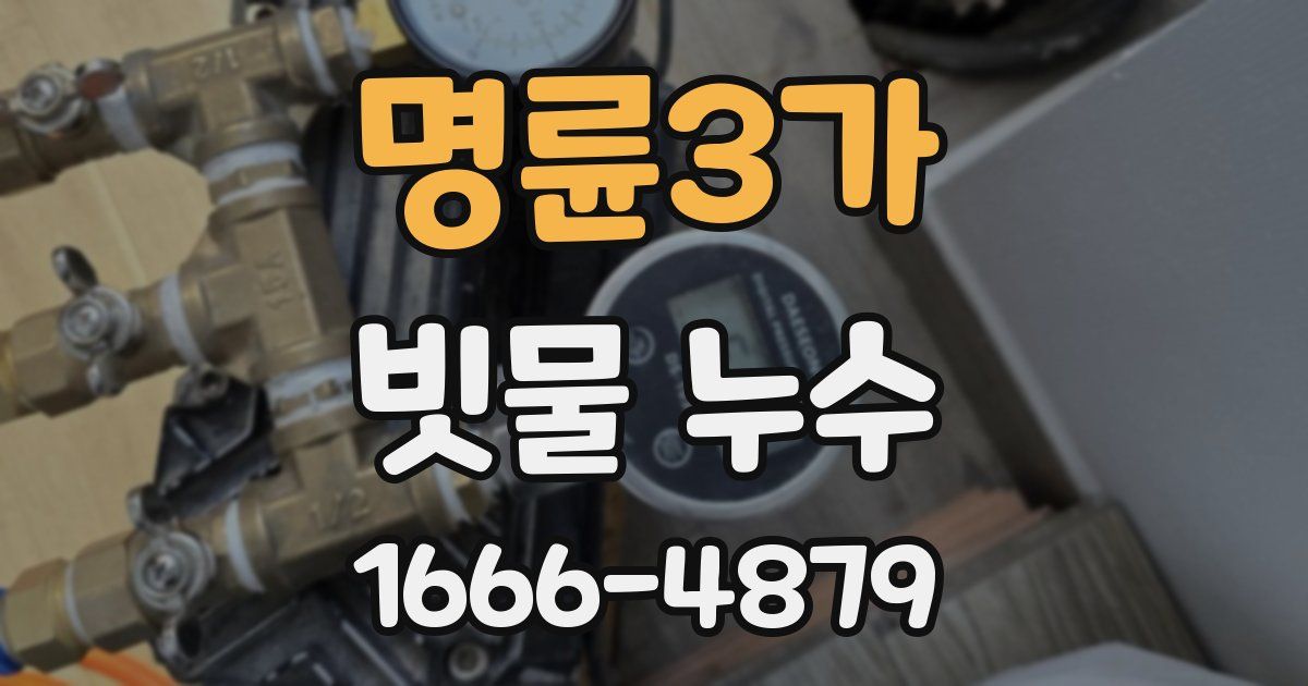 명륜3가 빗물 누수