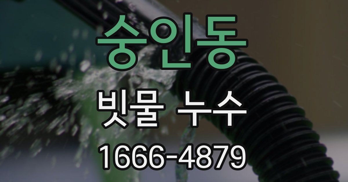 숭인동 빗물 누수