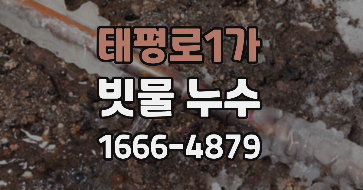 태평로1가 빗물 누수