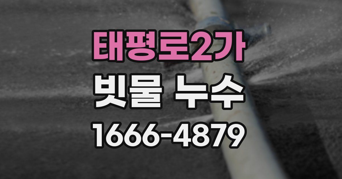 태평로2가 빗물 누수