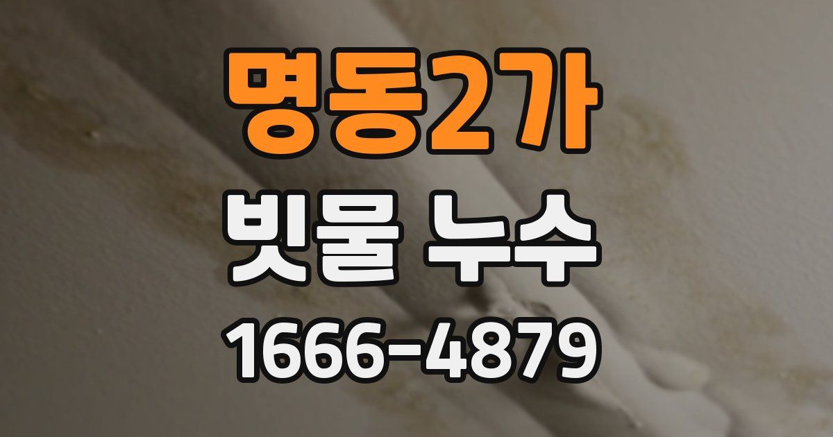 명동2가 빗물 누수