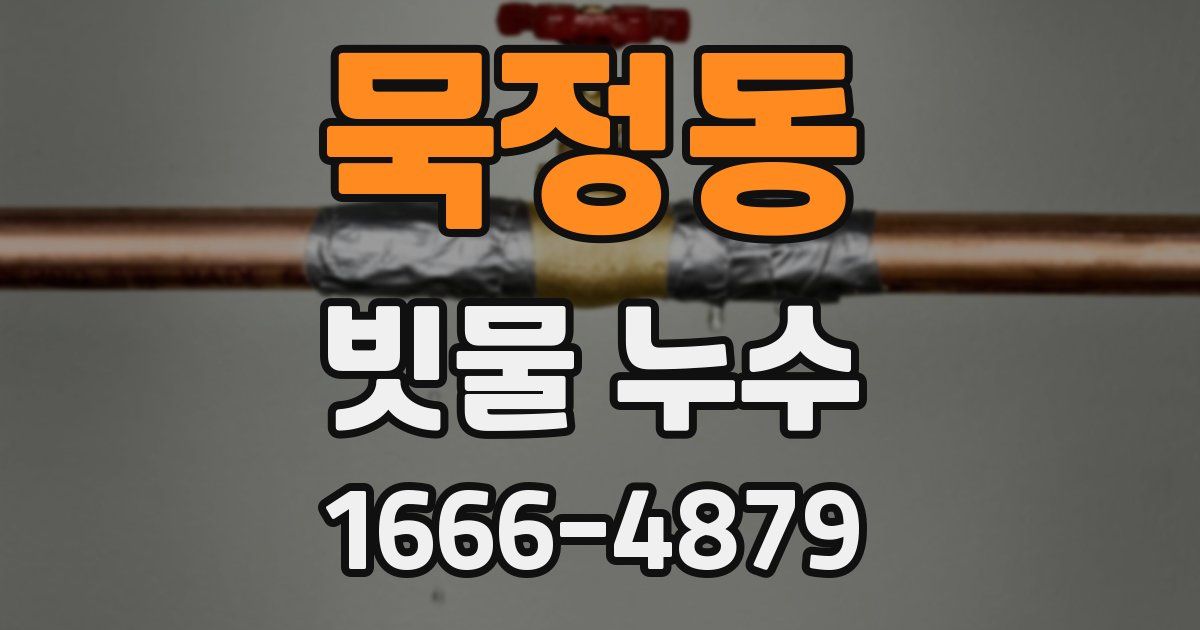 묵정동 빗물 누수