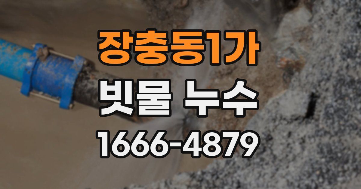 장충동1가 빗물 누수