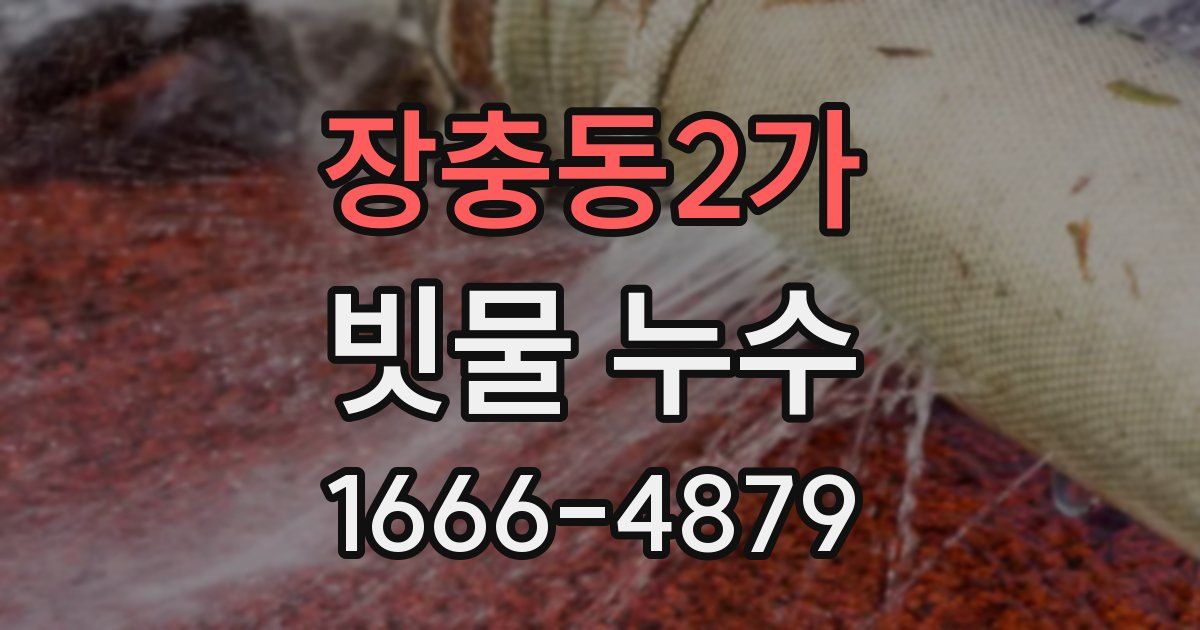 장충동2가 빗물 누수