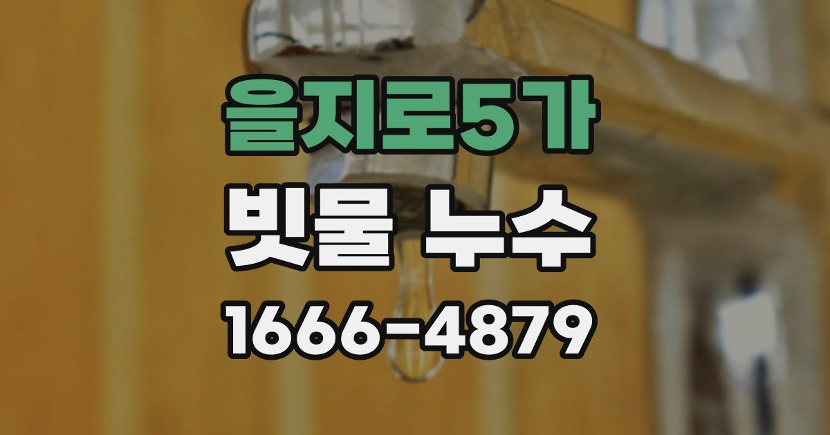 을지로5가 빗물 누수