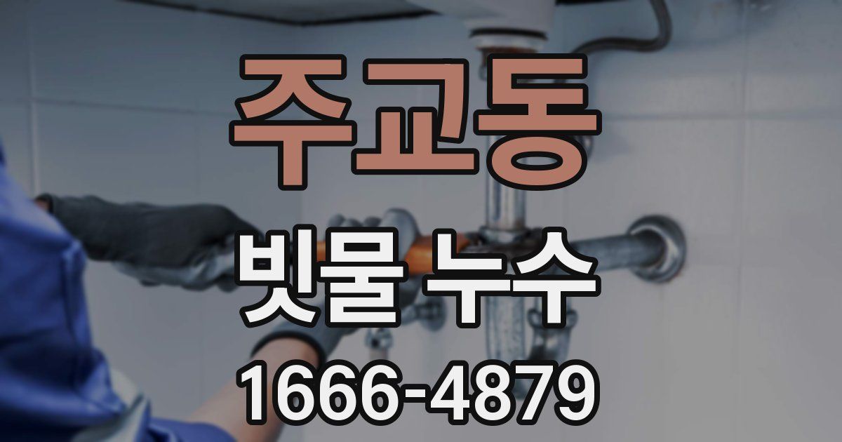 주교동 빗물 누수