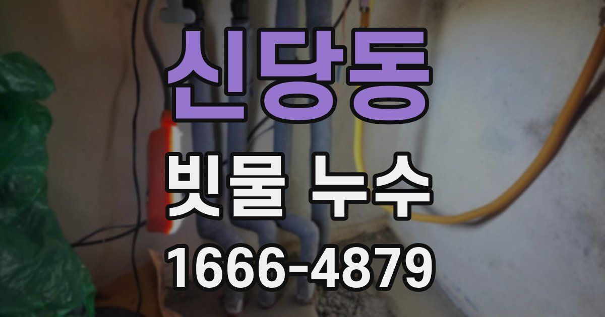 신당동 빗물 누수