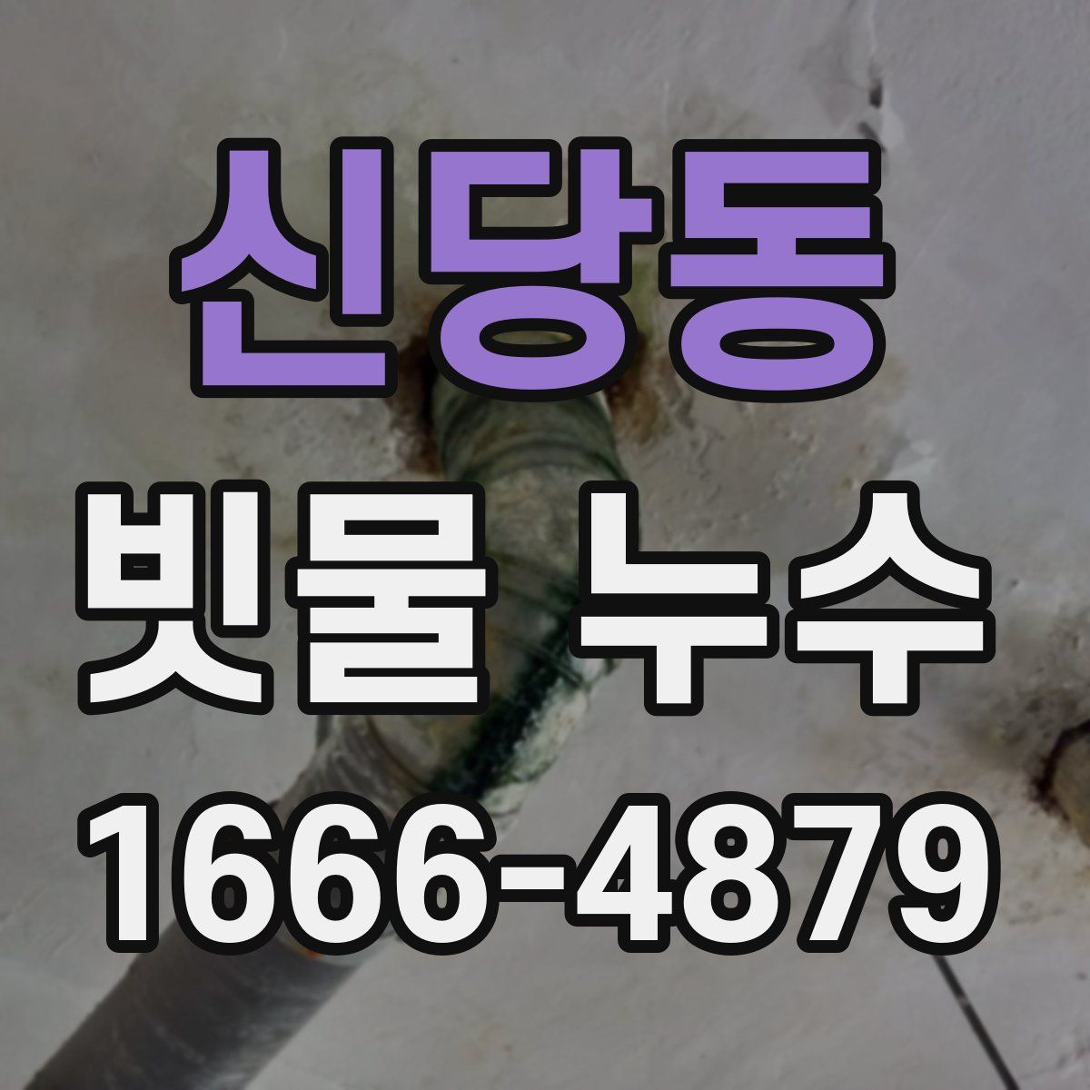 신당동 빗물 누수