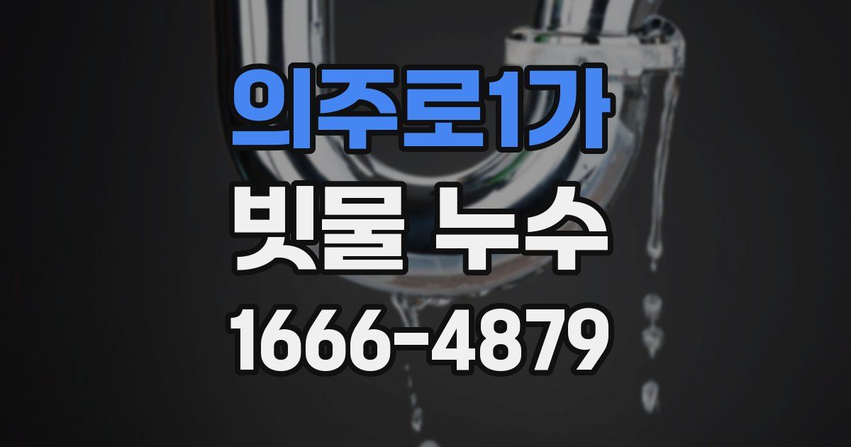의주로1가 빗물 누수