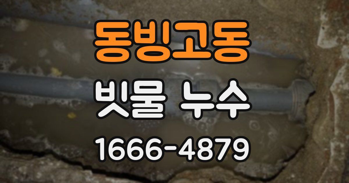 동빙고동 빗물 누수