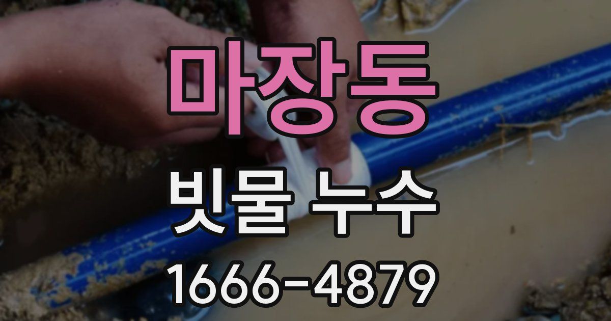 마장동 빗물 누수