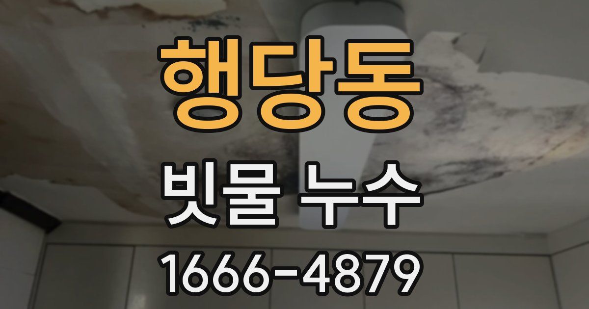 행당동 빗물 누수