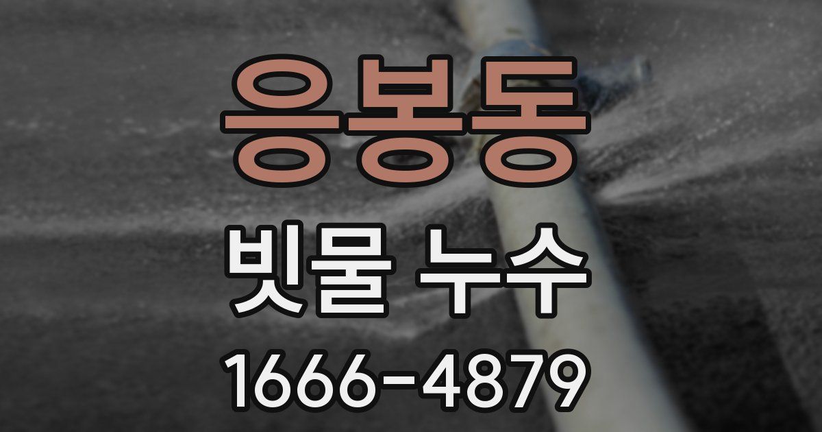 응봉동 빗물 누수