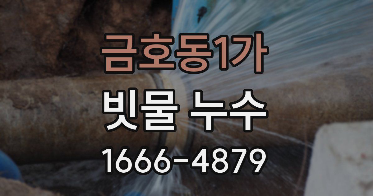 금호동1가 빗물 누수
