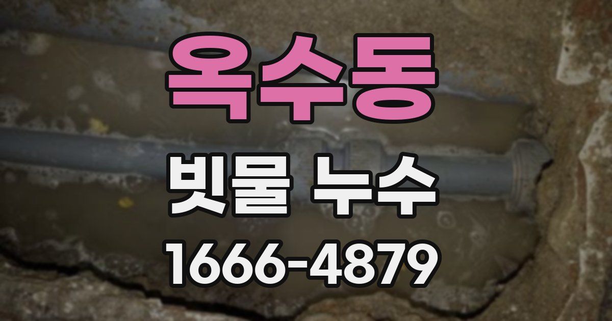 옥수동 빗물 누수