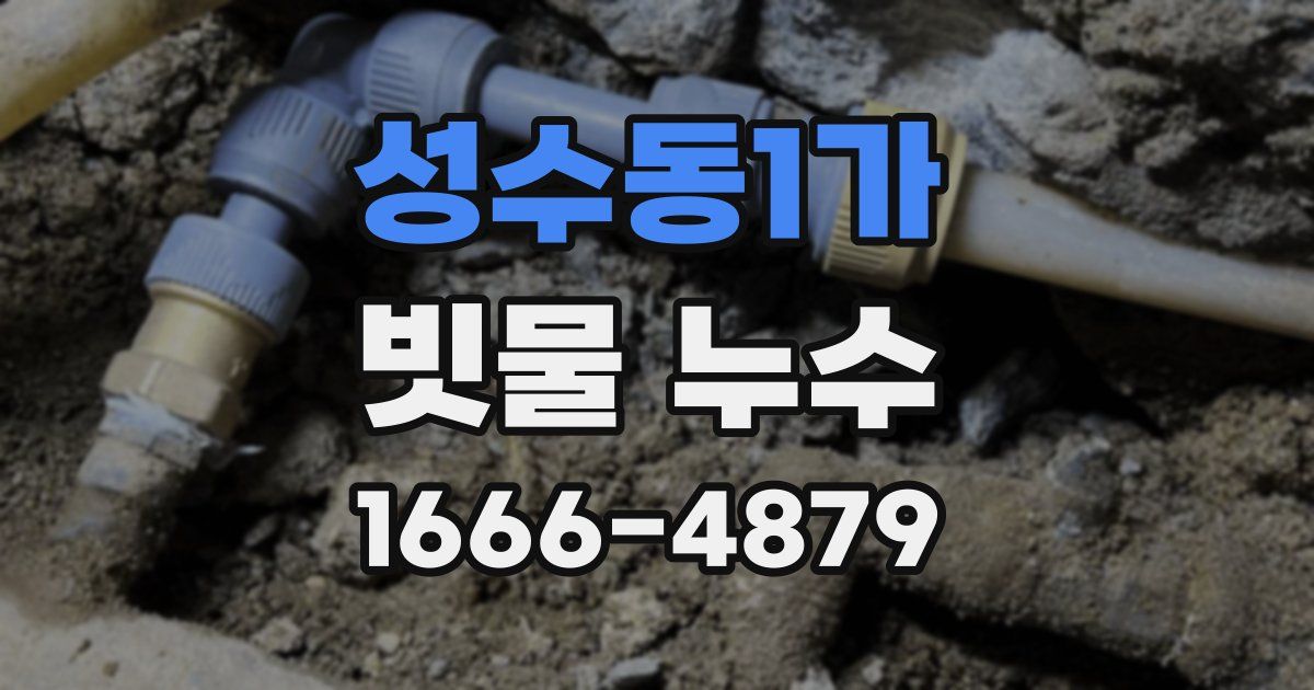 성수동1가 빗물 누수